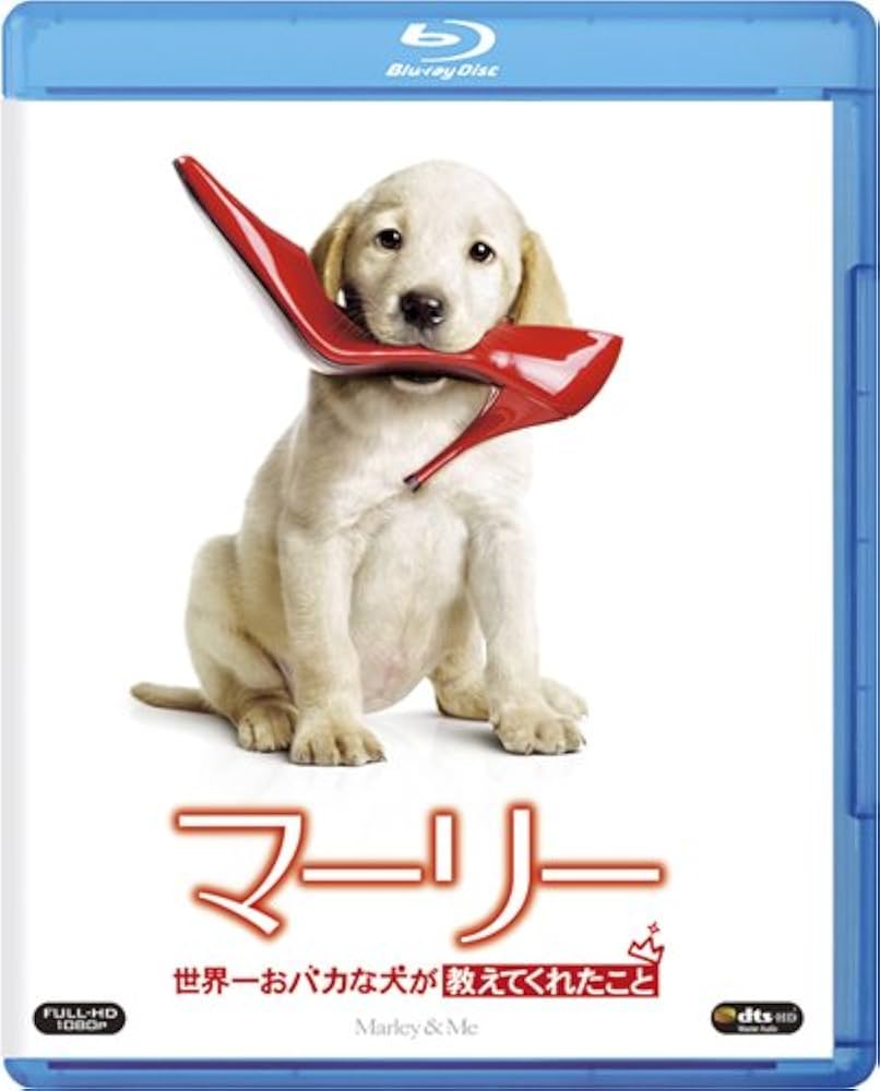 「プラダを着た悪魔」＋「マーリー 世界一おバカな犬が教えてくれたこと」（初回生産限定） [Blu-ray] Amazon.co.jp: 『マーリー 世界一おバカな犬が教えてくれたこと
